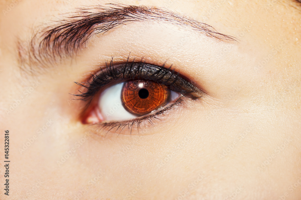 Obraz premium A beautiful insightful look woman's eye. Close up shot