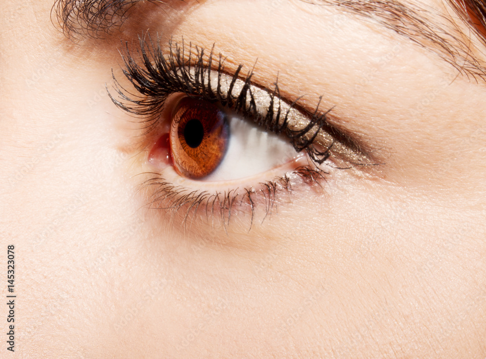A beautiful insightful look woman's eye. Close up shot A beautiful insightful look woman's eye. Close up shot