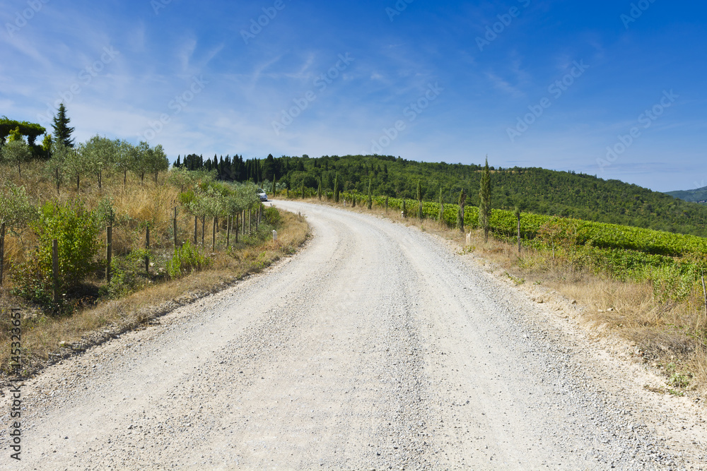 Road between vineyards in Italy