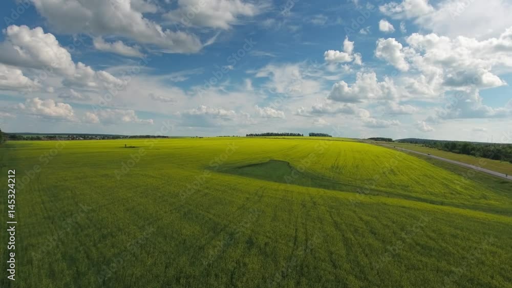 aerial view on beautiful flowering rapeseed field, 4k
aerial view on beautiful flowering rapeseed field, 4k