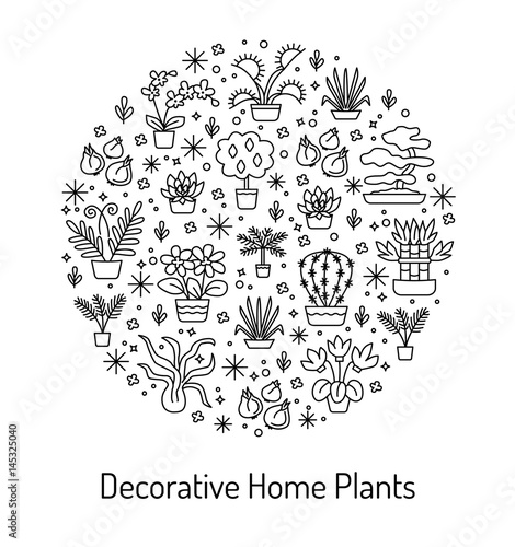 House plants concept for garden center, flower & florist shop. Vector round illustration from symbols & signs in line style. Can be used for banner, flyer, layout, poster, web advertisement.
