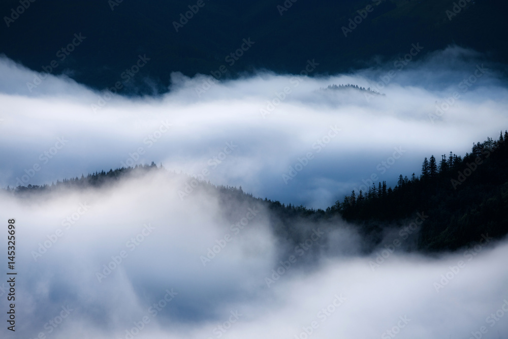 Foggy mountains hills