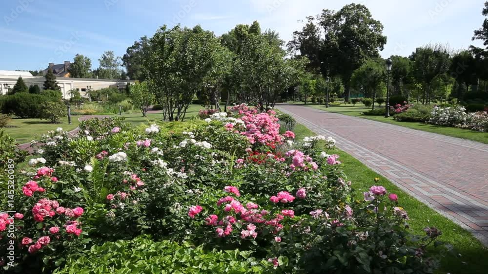 Green city park. Sunny summer day Green city park. Sunny summer day