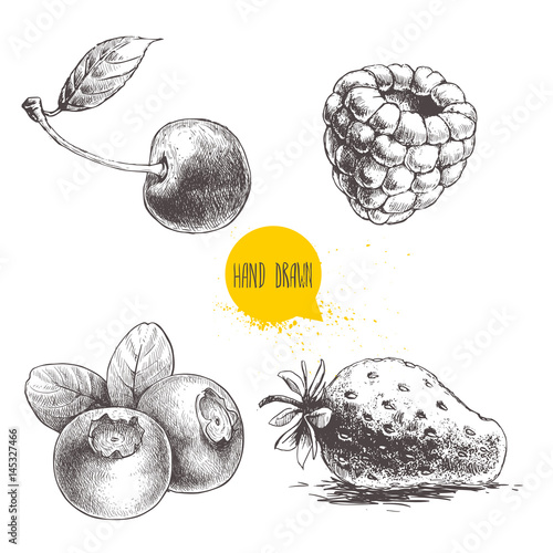 Hand drawn sketch style berries setisolated on white background. Raspberry, strawberry, cherry and blueberry. Healthy fruit and berry vector illustration.