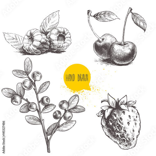 Hand drawn sketch style berries setisolated on white background. Raspberry with leafs, strawberries, cherry and blueberries branch. Healthy fruit and berry vector illustration.