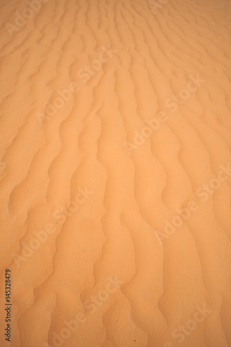 In der Sahara