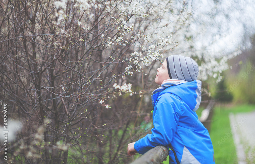 Little boy smelling flowers in spring garden