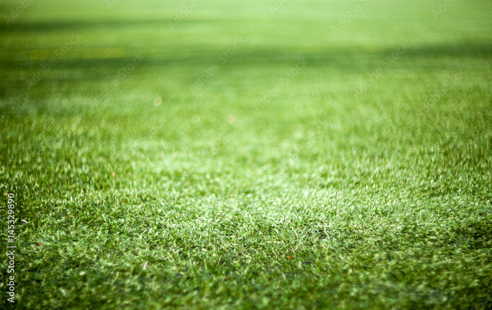 Grass background with copy space and shallow depth of field