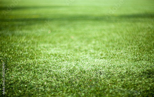 Εκτύπωση καμβά Grass background with copy space and shallow depth of field
