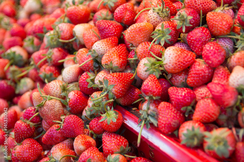 Fresh Strawberry in food market