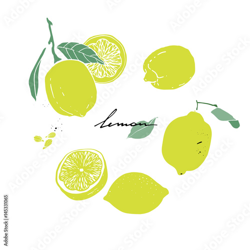 lemon, leaf, slice and lemon seed. Hand drawn set.