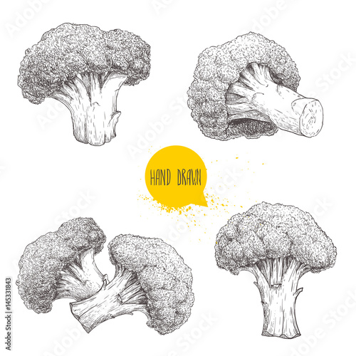Hand drawn sketch style set illustrations of  broccoli. Healthy ecological food vintage vector illustration. Broccoli compositions isolated on white background.