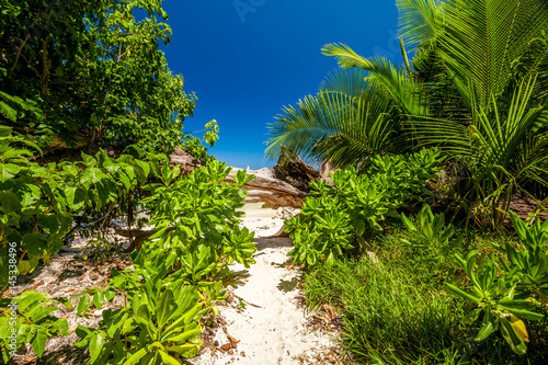 Fototapeta Naklejka Na Ścianę i Meble -  Beautiful beach at Seychelles