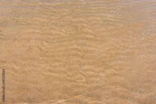 sand on beach texture .
