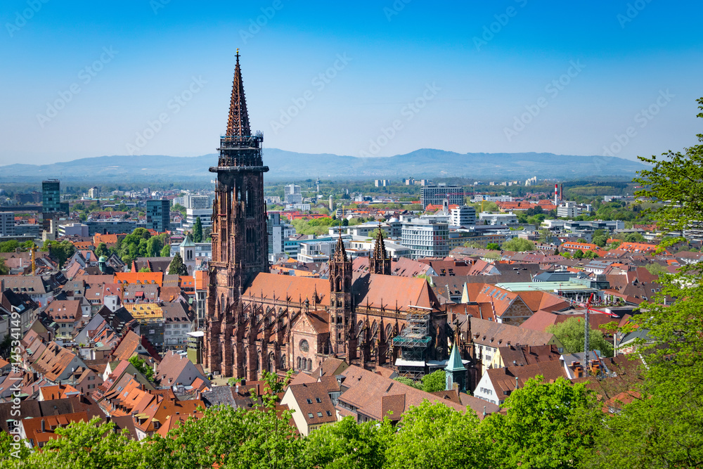 Naklejka premium cathedral in Freiburg