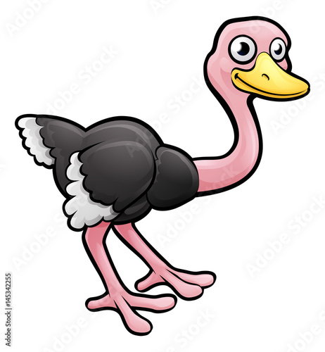 Ostrich Safari Animals Cartoon Character