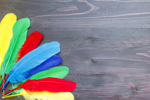 Beautiful multicolored feathers on a black wooden background photo