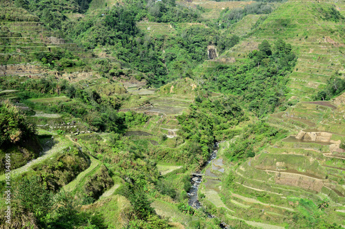 Philippines Rice fields of Banaue
