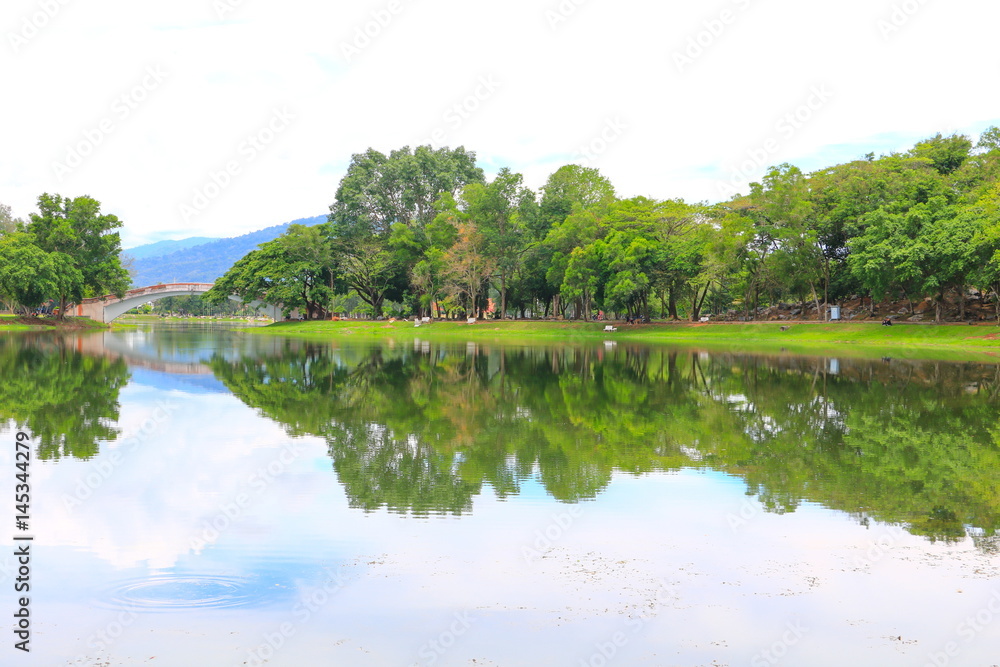 water reflection landscape in public park on white background water reflection landscape in public park on white background