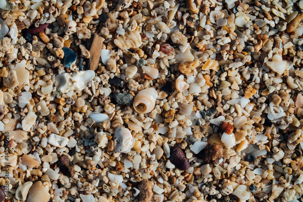 Sand on the beach with small seashells. Background texture, macro. Sand on the beach with small seashells. Background texture, macro.