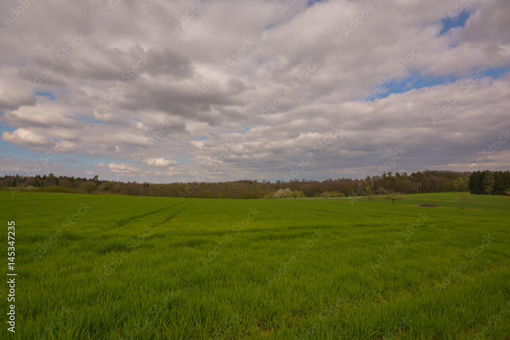Obraz premium Feld und Wiesen im Frühling