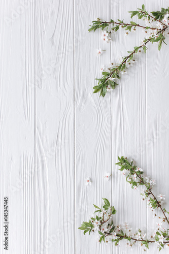 spring flower on white wooden background.mothers day.space for your text