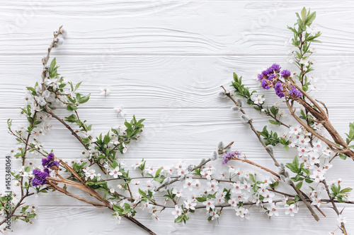 spring flower on white wooden background.mothers day.space for your text  