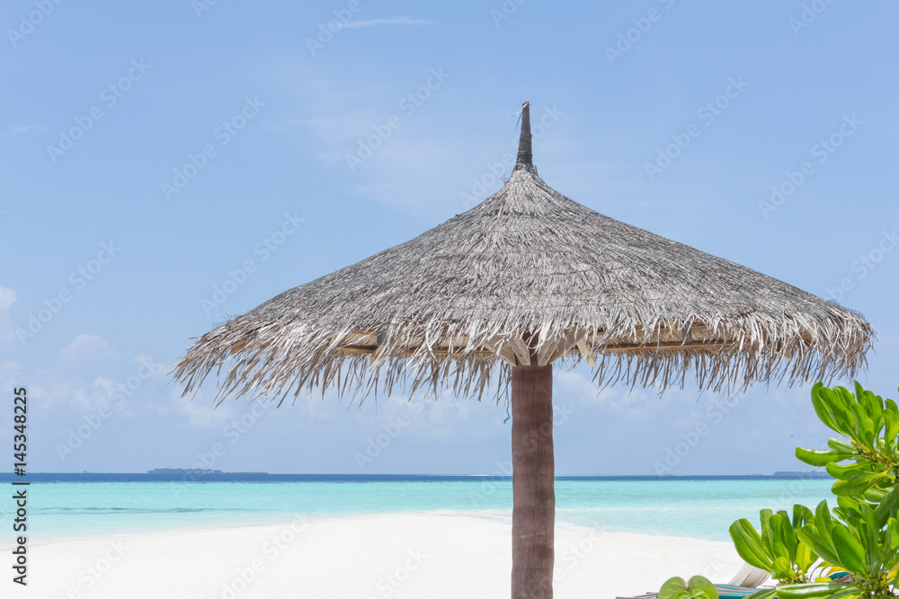 Tropical sand beach, palms and blue sky 