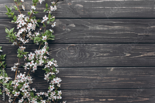 spring flower on  wooden background.mothers day.space for your text