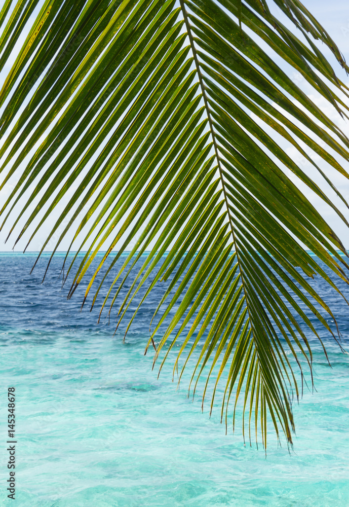 Tropical sand beach, palms and blue sky 