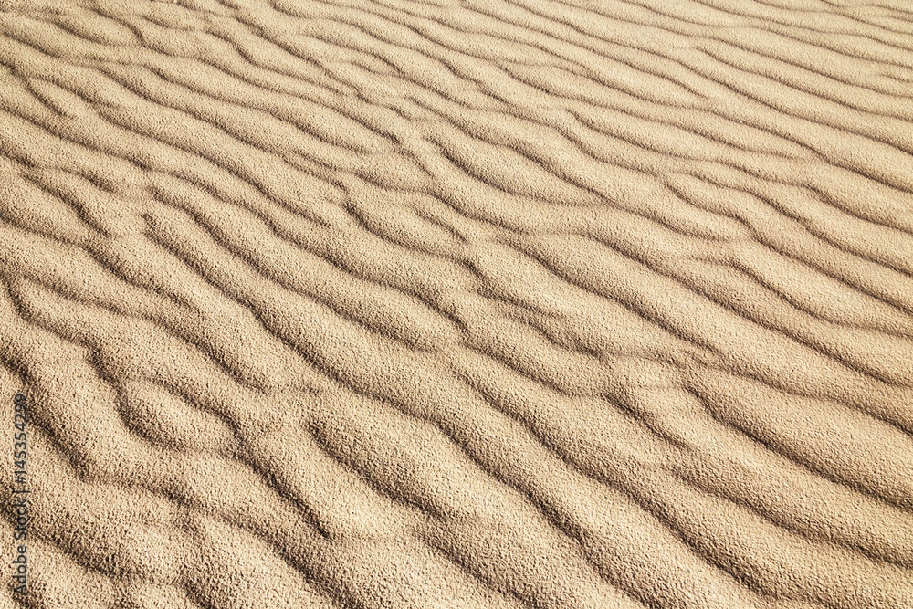 Sandy waves on the beach texture pattern Sandy waves on the beach texture pattern