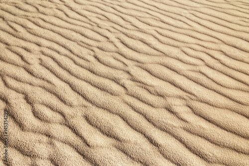 Sandy waves on the beach texture pattern