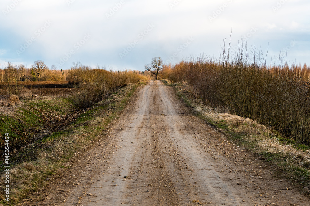 Country Road with perspective