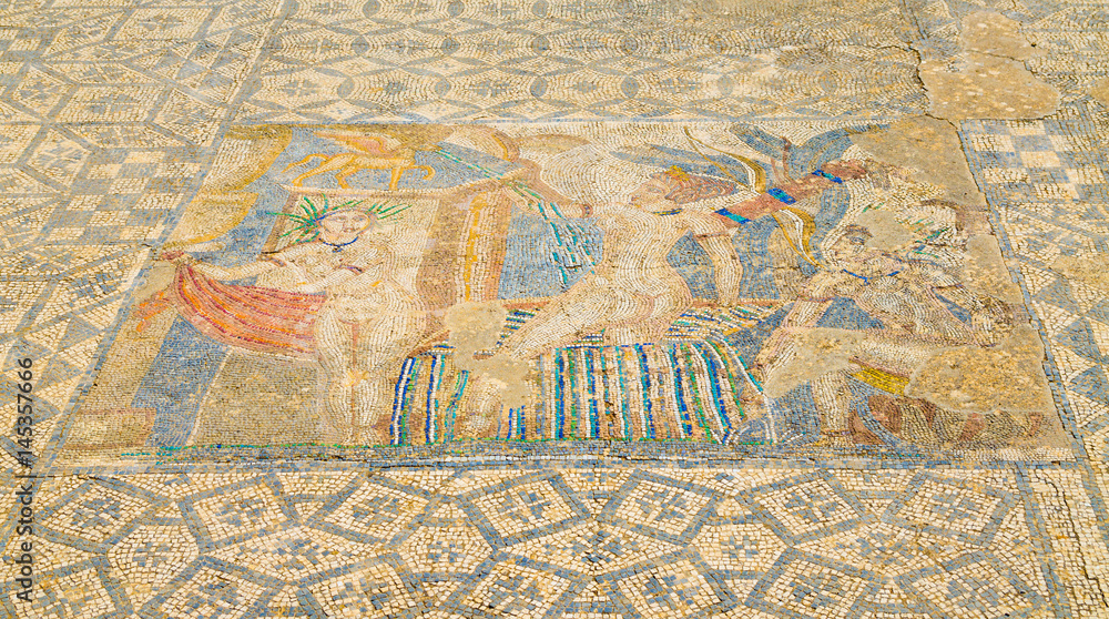 Fototapeta premium Elaborate mosaic at ancient historical site of Roman ruins of Volubilis near Meknes, Morocco, Africa