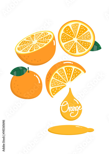 orange vector