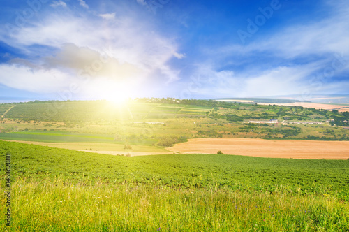 hilly terrain  spring field and sunrise on blue sky
