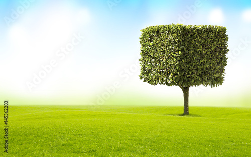Rechteckiger Baum