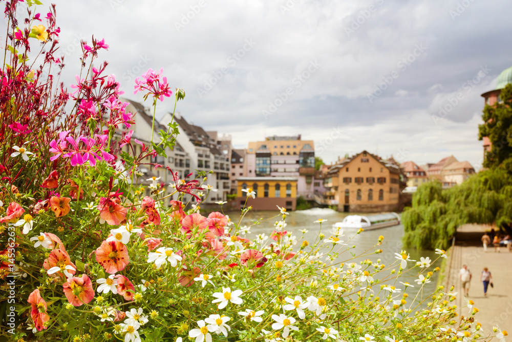 Beautiful summer flowers over europen city view background
