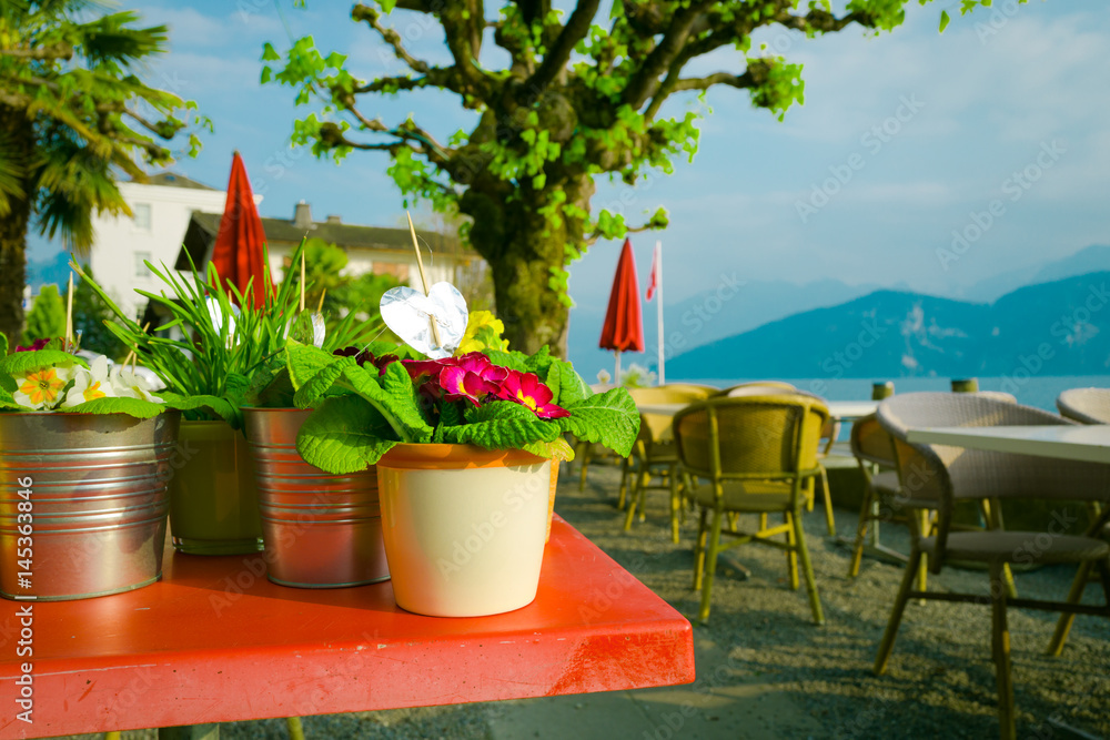 Flower pots in outdoor restaurant
