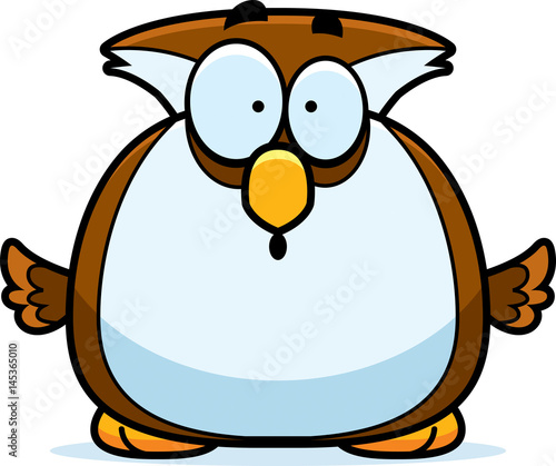 Surprised Little Owl
