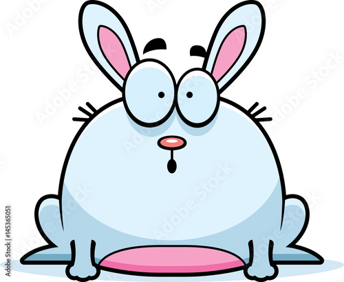 Surprised Little Rabbit