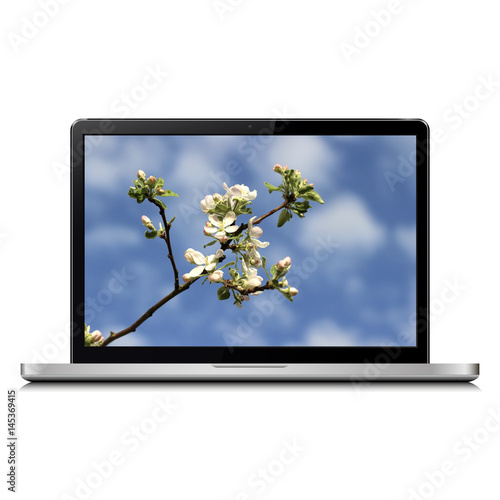 Laptop with apple blossoms wallpaper