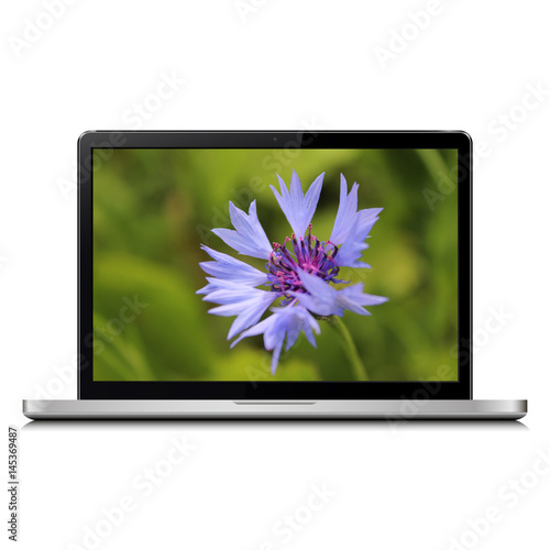 Laptop with cornflower on screen