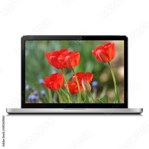 Fototapeta Naklejka Na Ścianę i Meble -  Laptop isolated on white with tulip flowers on screen