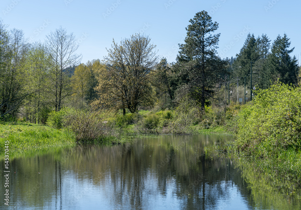 Black Lake Meadows Black Lake Meadows