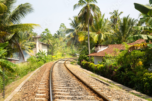 Palm forest across railway road on Sri Lanka © Nomad_Soul