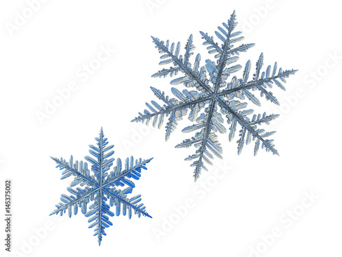 Two snowflakes  isolated on white background. This set composed from photos of real snow crystals  very big stellar dendrites with six long  elegant arms with many side branches and complex shape.