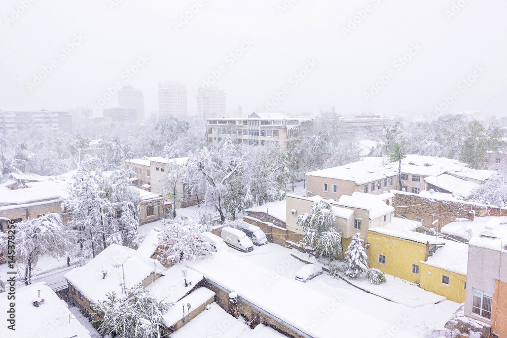 Obraz premium Heavy snow apocalypse in Moldova, frozen Chisinau city, on 20 and 21 of april 2017, spring anomaly, natural cataclysm, falling green trees disaster, general emergency state, exceptional situation