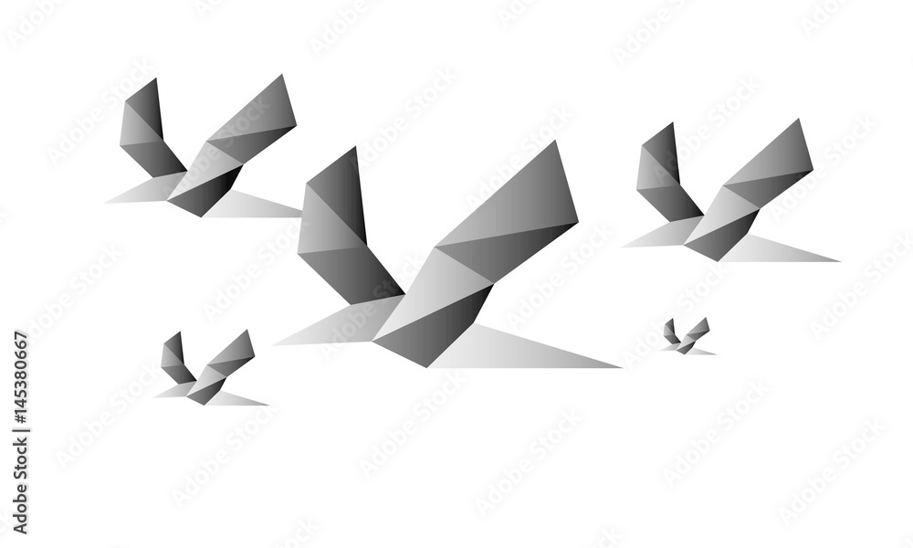 Birds Birds