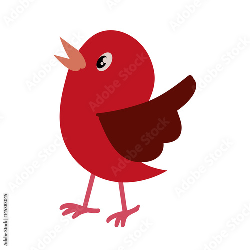Bird cute cartoon icon vector illustration graphic design